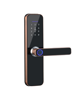 quality  Tuya Smart Door Lock Series Door Locks WIFI Fingerprint Cheap Zinc Alloy Phone Smart Door Lock Work With TT LOCK APP factory