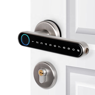 TTlock Zinc Alloy Keyless Smart Auto APP Locks Door Knob Digital Digit Smart Fingerprint Door Lock