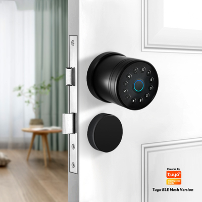 Digital Ferreteria Wifi Cerradura Inteligente Zinc Alloy Biometric App Fingerprint Tuya Smart Door Lock
