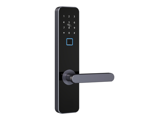 Smart Door Lock Buy TTLOCK APP Online Auto Smart Fingerprint Sliding Door Lock PRND-X2 Luxury Auto