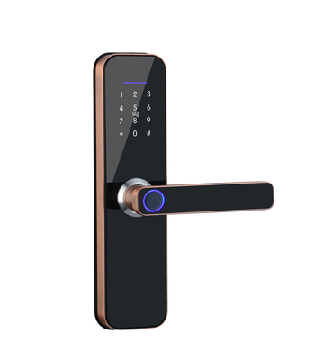 Tuya Smart Door Lock Series Door Locks WIFI Fingerprint Cheap Zinc Alloy Phone Smart Door Lock Work With TT LOCK APP
