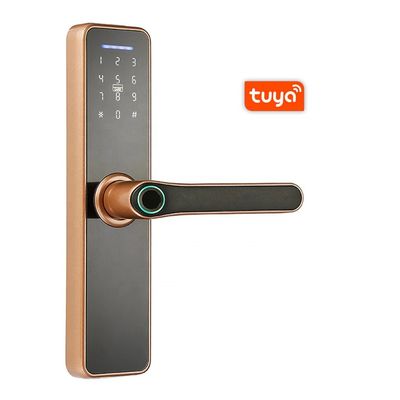 Hot selling aluminum alloy model X7 tuya wifi smart door lock shipped by DHL/Fedex