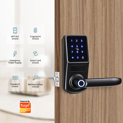 Aluminum Alloy Keyless Automatic WIFI APP Digital Fingerprint Biometric Smart Door Lock for Alexa Google Home